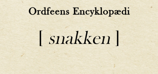 Ordfeens encyklopædi - snakken